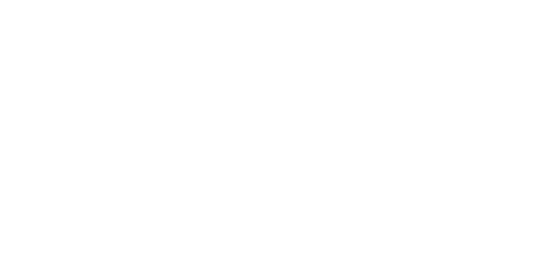 SLH Consulting